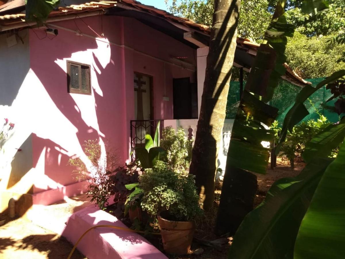 Agonda Pink House Apartment Canacona Bagian luar foto