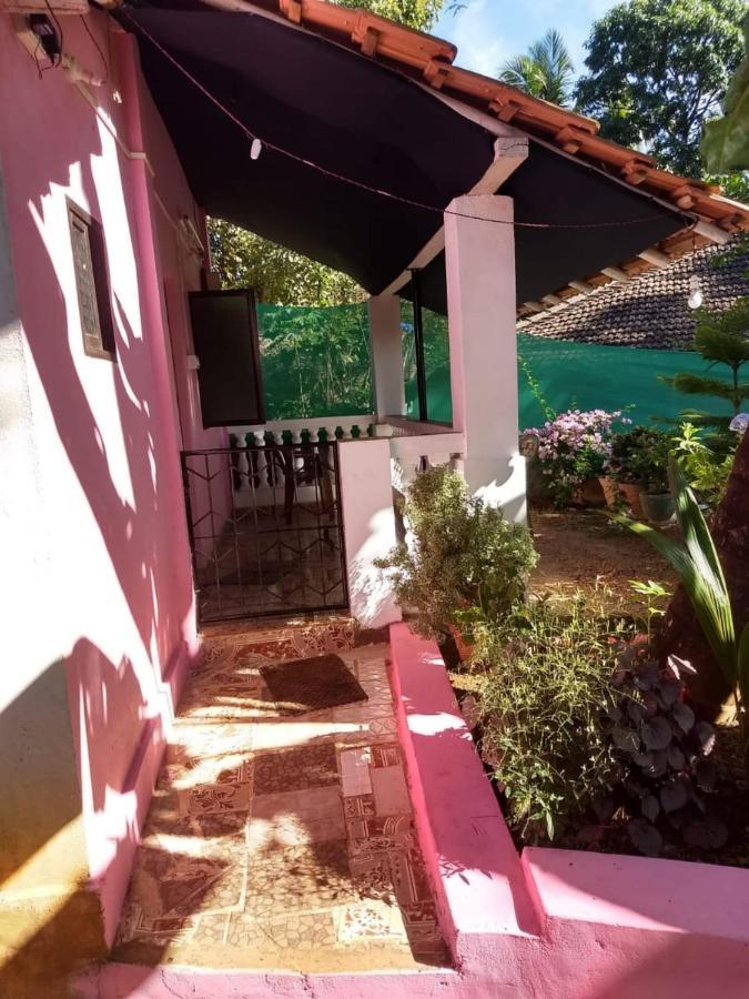 Agonda Pink House Apartment Canacona Bagian luar foto